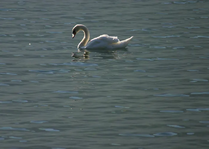 Mueller 3* Hohenschwangau